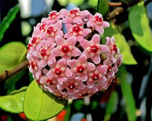 Pink Wax Plant Diamond Painting