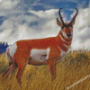 Pronghorn Animal Diamond Painting