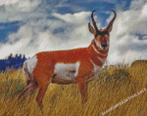 Pronghorn Animal Diamond Painting