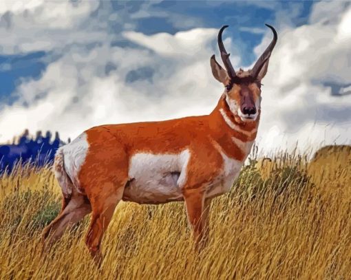 Pronghorn Animal Diamond Painting