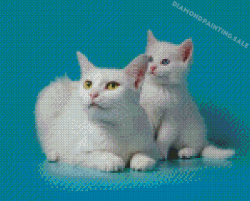 White Cat And Kitten Diamond Painting