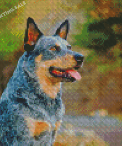 Australia Cattle Dog Diamond Painting