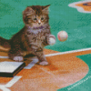 Baseball Cat Diamond Painting