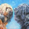 Black And Brown Briard Dogs Art Diamond Painting
