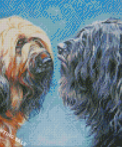 Black And Brown Briard Dogs Art Diamond Painting