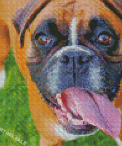 Boxer Dog Breed Diamond Painting
