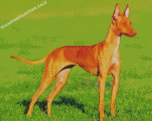 Brown Podenco Dog Diamond Painting