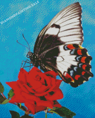 Butterfly On Red Rose Diamond Painting