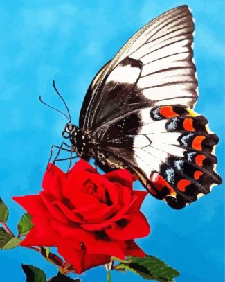 Butterfly On Red Rose Diamond Painting