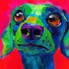 Dachshund Dog Colorful Diamond Painting