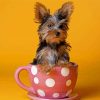 Dog In The Cup Diamond Painting