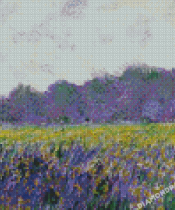 Field Of Yellow Irises At Giverny Monet Diamond Painting