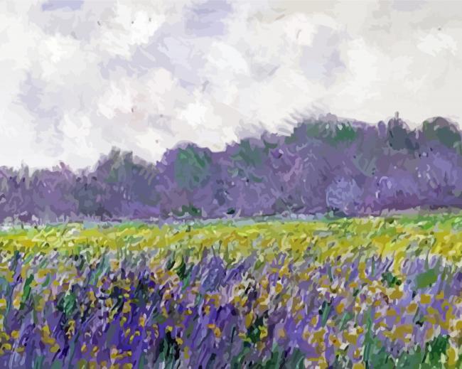 Field Of Yellow Irises At Giverny Monet Diamond Painting