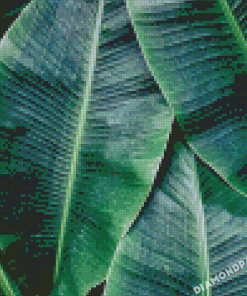 Green Banana Leaves Diamond Painting