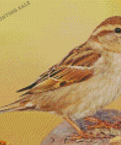 House Sparrow Bird Diamond Painting