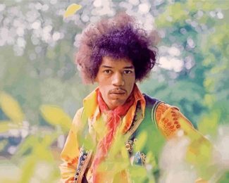 Jimi Hendrix Guitarist Diamond Painting