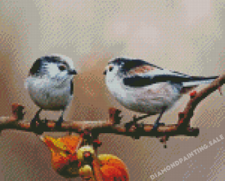 Long Tailed Tits Birds On A Branch Diamond Painting
