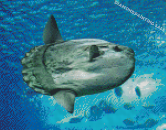 Mola Fish Diamond Painting