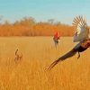 Pheasant Hunting Season Diamond Painting