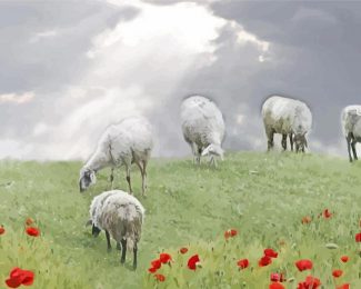 Sheep In A Poppy Field Diamond Painting