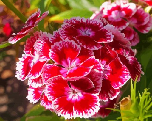 Sweet William Flowers Diamond Painting