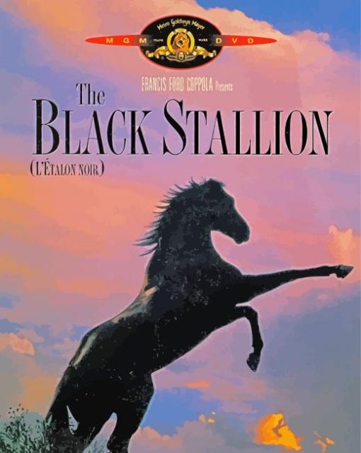 The Black Stallion Diamond Painting