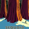 The Sequoia National Park Diamond Painting