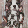 Three Boston Terriers Diamond Painting