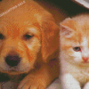 Adorable Puppy And Kitten Diamond Painting