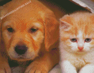 Adorable Puppy And Kitten Diamond Painting