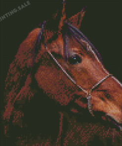 Aesthetic Brown Horse Head Animal Diamond Painting