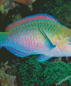 Aesthetic Parrot Fish Art Diamond Painting