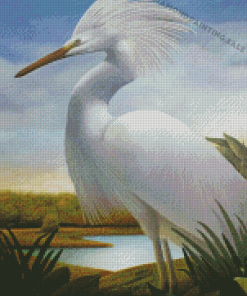 Beautiful White Heron Diamond Painting