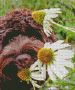 Brown Puppy And Plant Diamond Painting paint by number