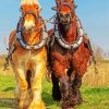 Brown And Blond Workhorses Diamond Painting