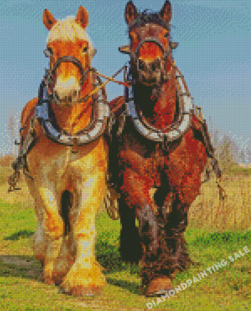 Brown And Blond Workhorses Diamond Painting