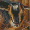 Close Up Nigerian Dwarf Goat Diamond Painting