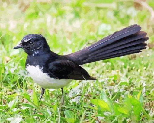 Cool Willie Wagtail Diamond Painting