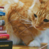 Cute Cat And Books Diamond Painting