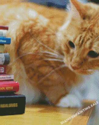 Cute Cat And Books Diamond Painting