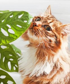 Cute Cat Plant Diamond Painting