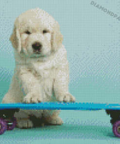 Cute Dog Skateboard Diamond Painting