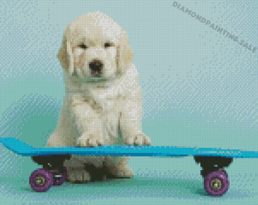 Cute Dog Skateboard Diamond Painting