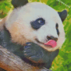 Panda Sticking Tongue Out Diamond Painting