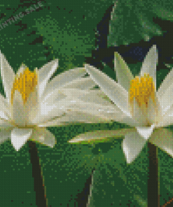 White Tiger Lotus Diamond Painting