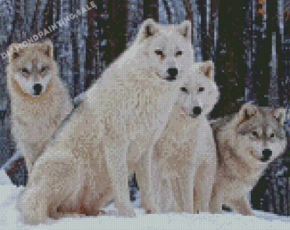 White Wolves In The Snow Diamond Painting