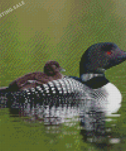 Aesthetic Loon With Baby Diamond Painting