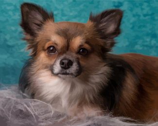 Adorable Long Haired Chihuahua Diamond Painting