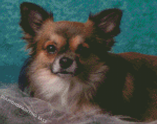 Adorable Long Haired Chihuahua Diamond Painting