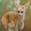 Fennec Fox Animal Diamond Painting